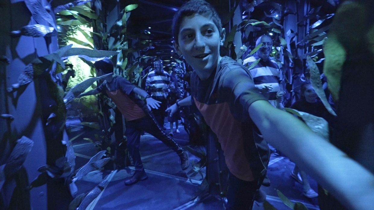 National Geographic Encounter Mirror Maze